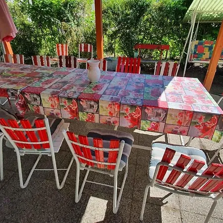 In - Balaton 43121 *